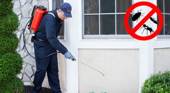 Selçuklu Böcek ve Haşere İlaçlama böcek ilaçlama ve haşere kontrolü — ilaclama-tr.com